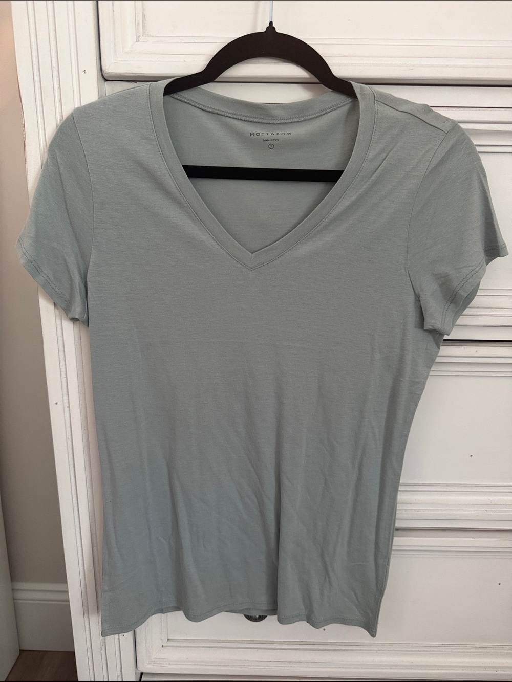Women's V-Neck Tee in Light sage green